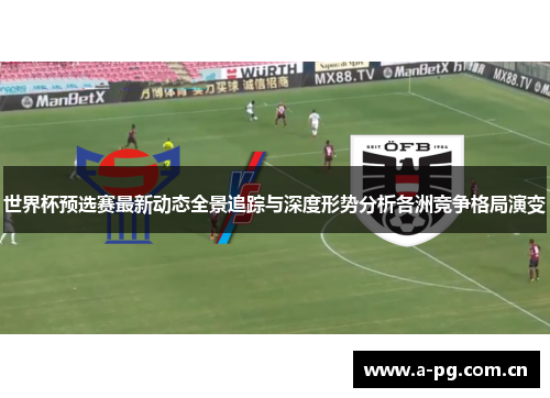 世界杯预选赛最新动态全景追踪与深度形势分析各洲竞争格局演变
